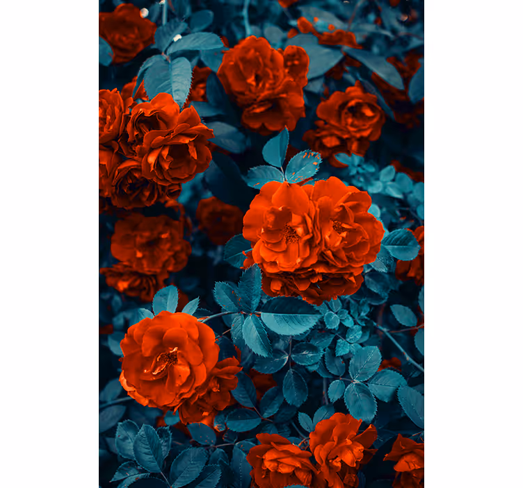 Vibrant Blooming Roses flower roller blind - TenStickers