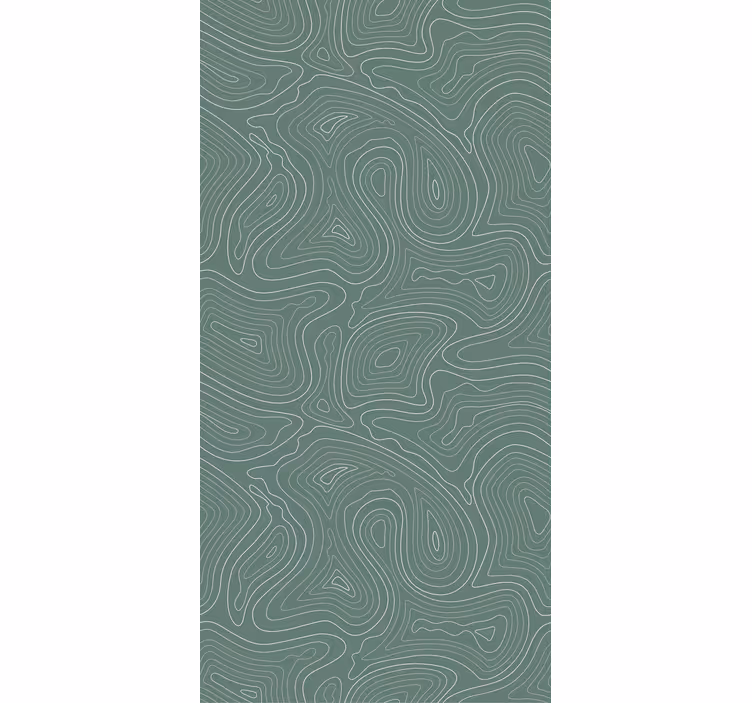 Fluid Topography Lines texture roller blind - TenStickers