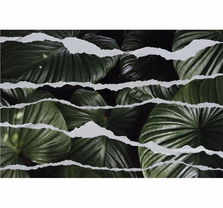 Torn leaf patterns roller blind for kitchen window - TenStickers