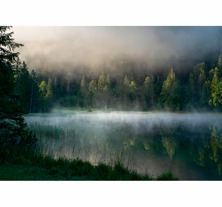 Misty Forest Reflection tree roller blind - TenStickers