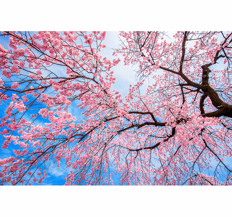 Blooming cherry tree Living room blind - TenStickers