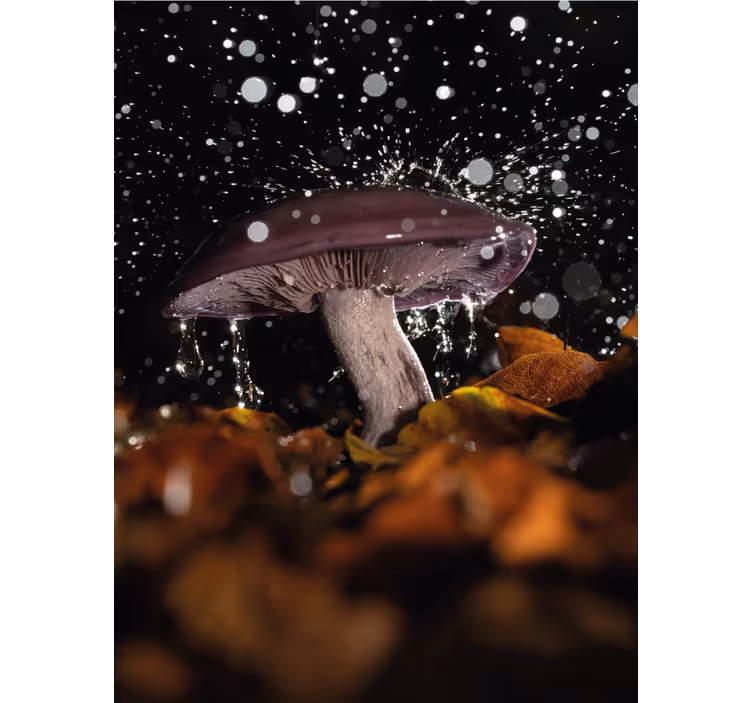 Mushroom with Splash roller blind - TenStickers