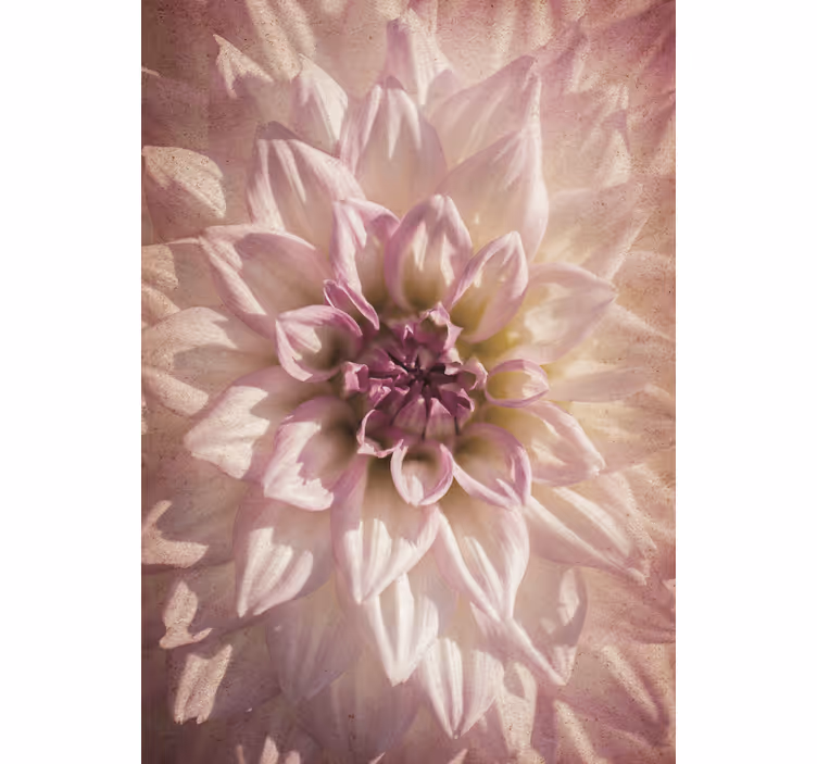 Delicate bloom flower roller blind - TenStickers