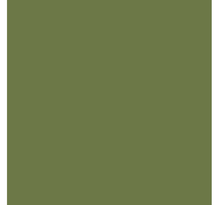 Olive shades Green roller blind - TenStickers