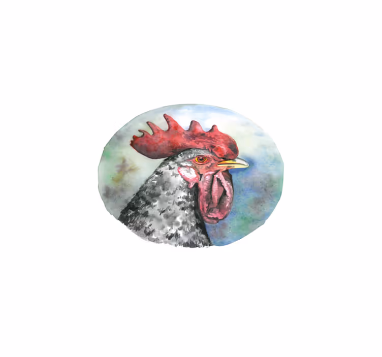 Painted roosters original placemats - TenStickers