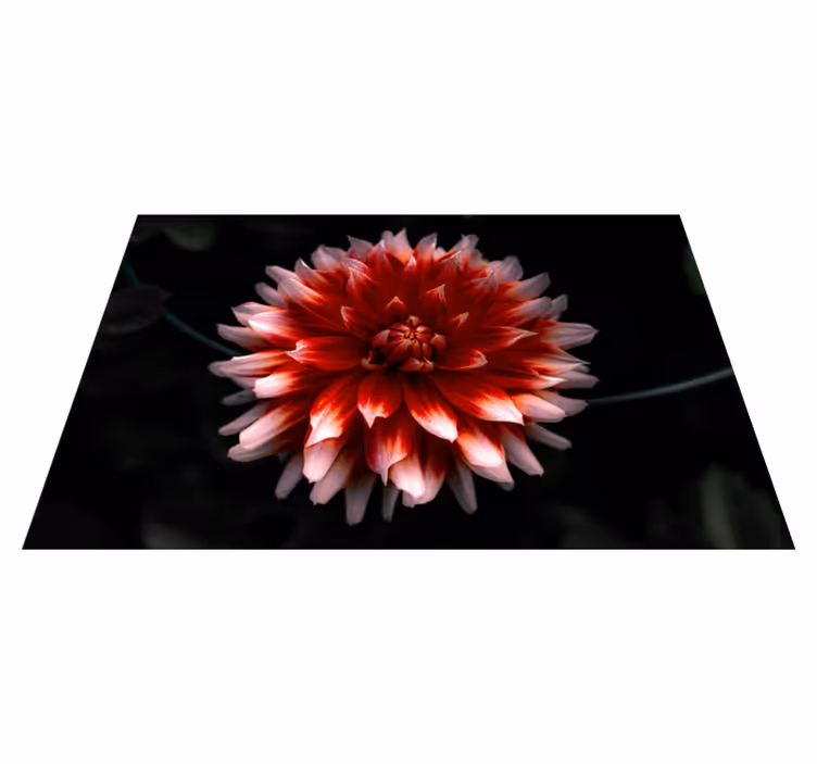 Original placemat crispy seaweed plate - TenStickers