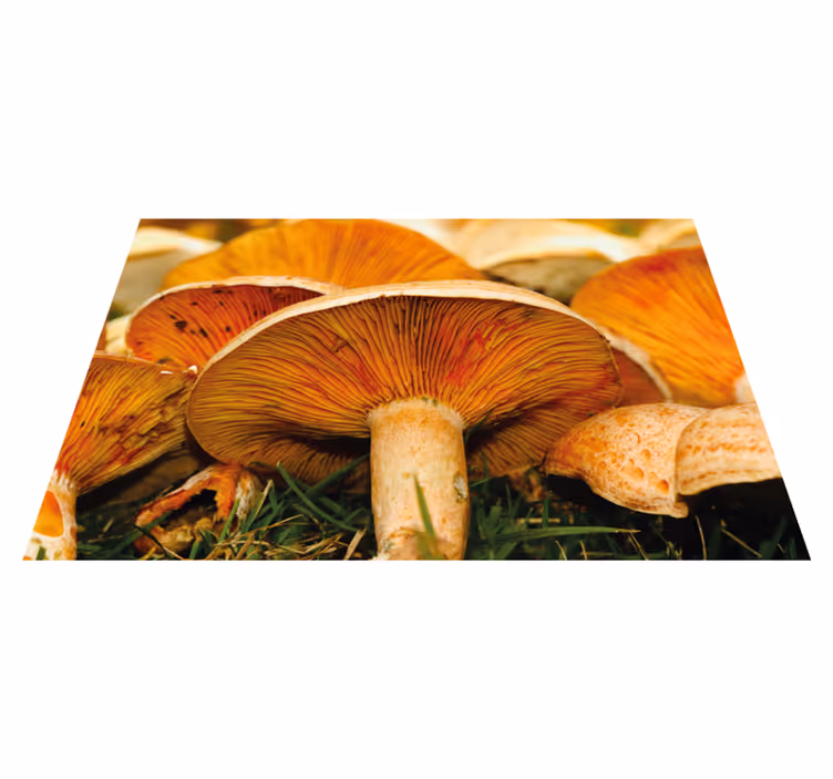 Orange pores wild mushroom textured placemats - TenStickers