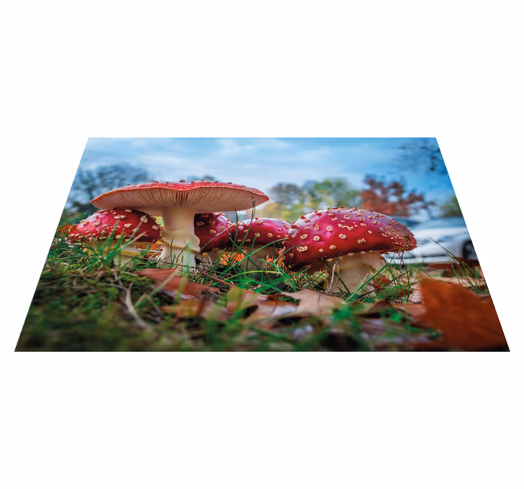 Modern placemat mushroom culinary art - TenStickers