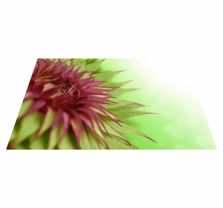 Thistle prickly flowering plant vinyl placemat - TenStickers