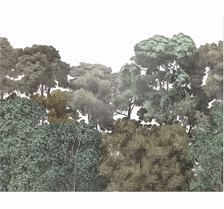 Elegant rainforest motif teenager wall mural - TenStickers