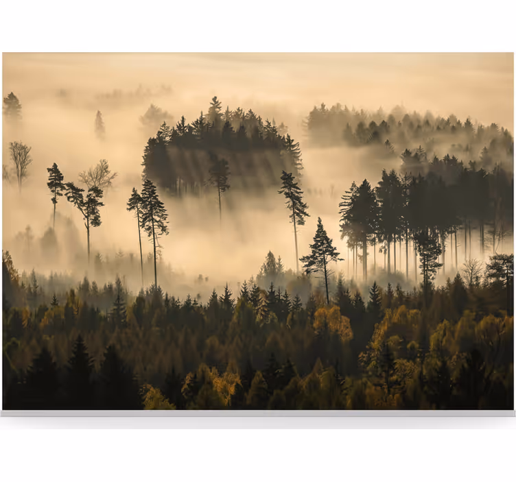 Ethereal morning mist forest wall mural - TenStickers