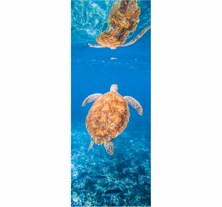 Bathroom wall mural of a beautiful underwater turtle - TenStickers
