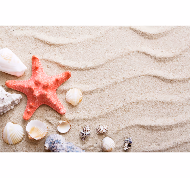 Bathroom wall mural starfish and shells on sand - TenStickers