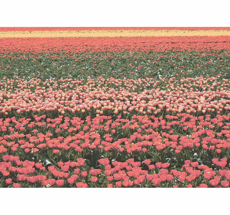 Hallway wall mural different types of flower fields - TenStickers