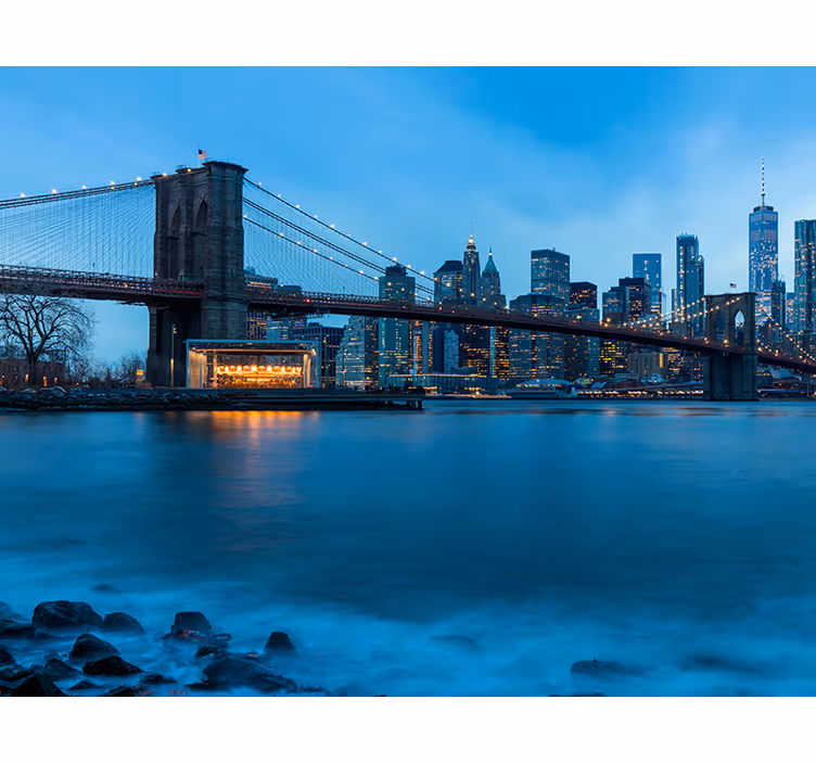 Manhattan view New York wall mural - TenStickers