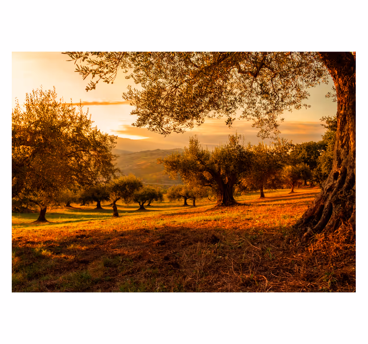 Mediterranean Grove landscape wall mural - TenStickers
