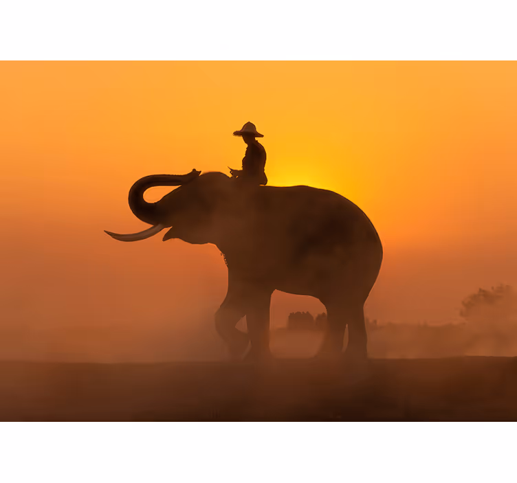Silhouetted Elephant animal wall mural - TenStickers