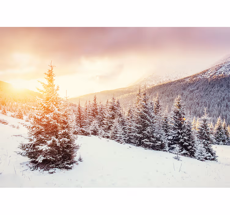 Forest wall mural icy pine scenery - TenStickers