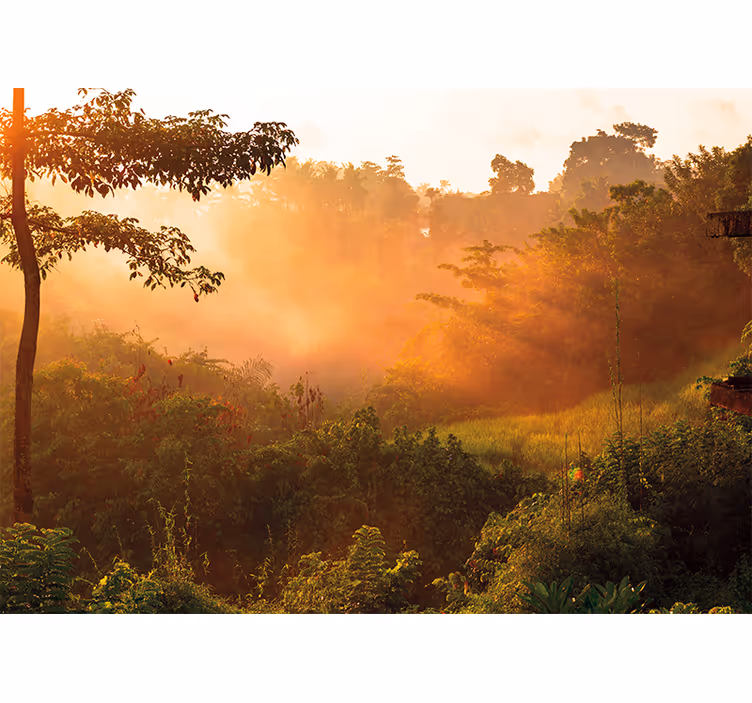 Nature wall mural tranquil woodland landscape - TenStickers