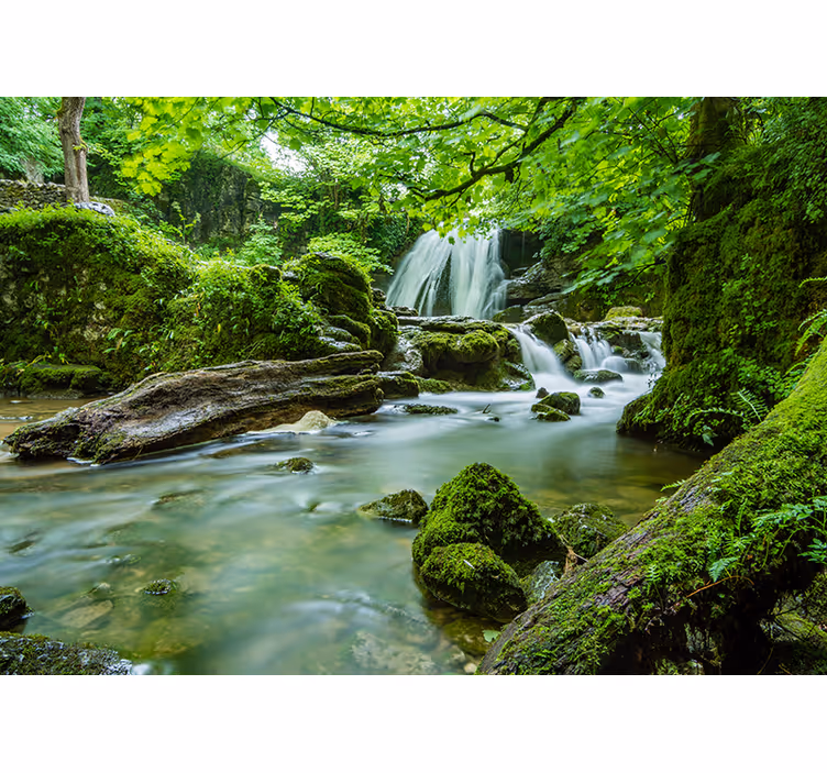 Nature wall mural tranquil woodland brook - TenStickers