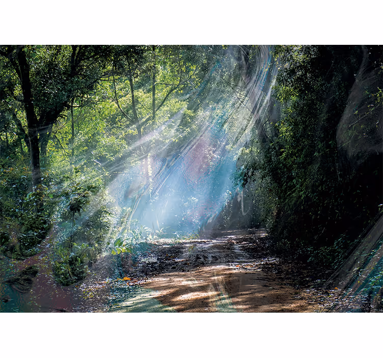 Nature wall mural radiant forest path - TenStickers