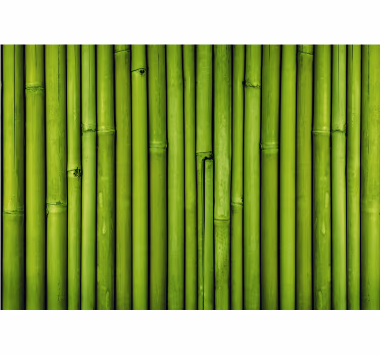 Bamboo wall mural green bamboo stalks - TenStickers