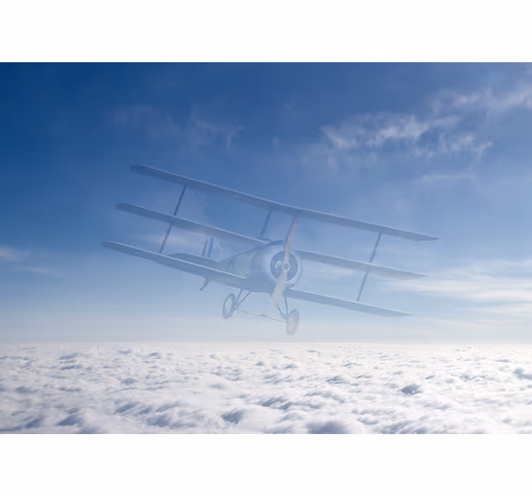Vintage Airplane Flight vehicle wall mural - TenStickers