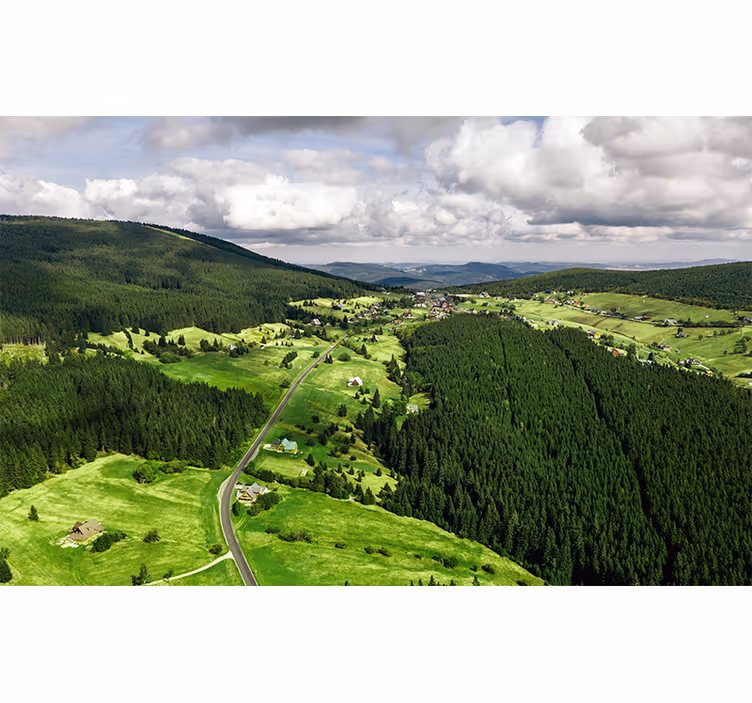 Polish meadows Mountain wall mural - TenStickers