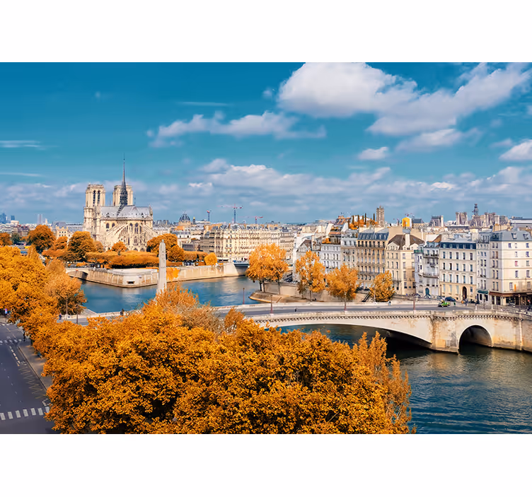 Notre dame paris wall mural - TenStickers