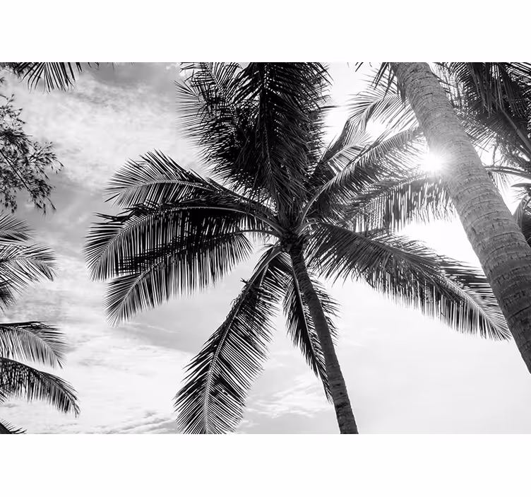 Tropical palm scene ocean wall mural - TenStickers