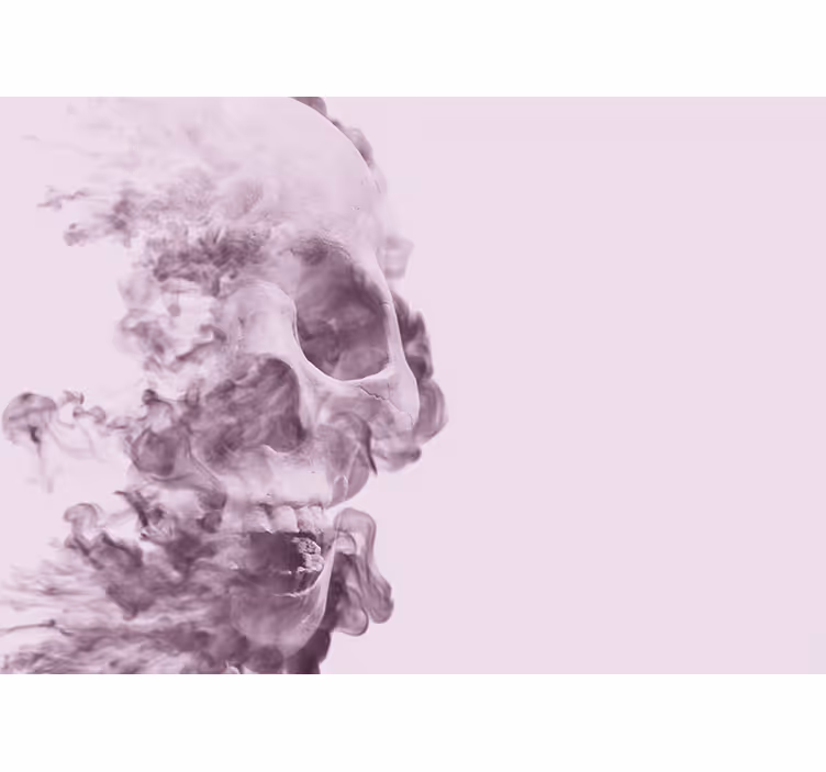 Smoky Skull Silhouette animal wall mural - TenStickers