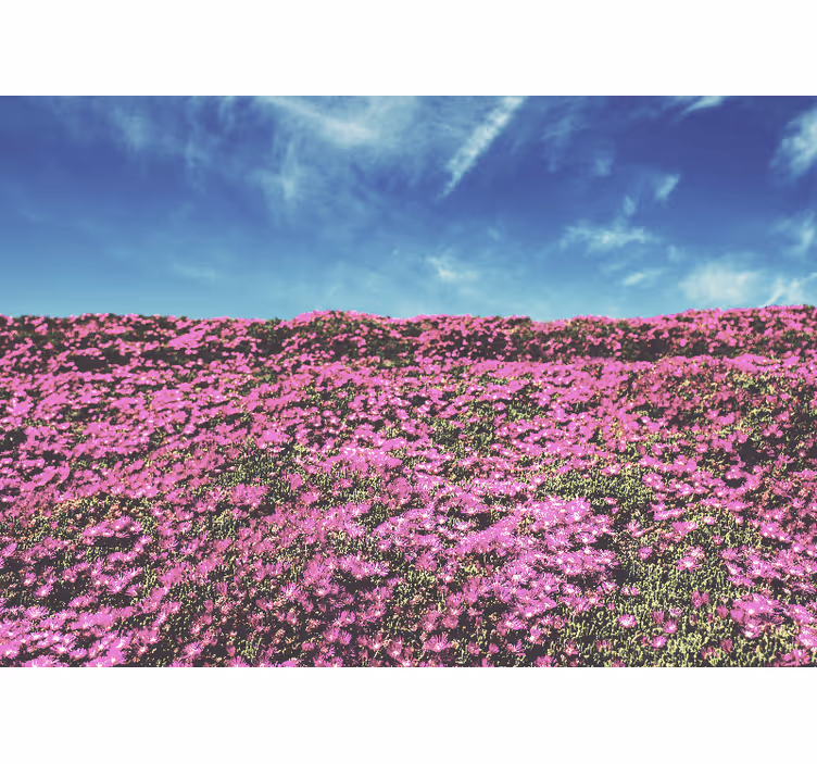 Vibrant Pink Blossoms flower wall mural - TenStickers