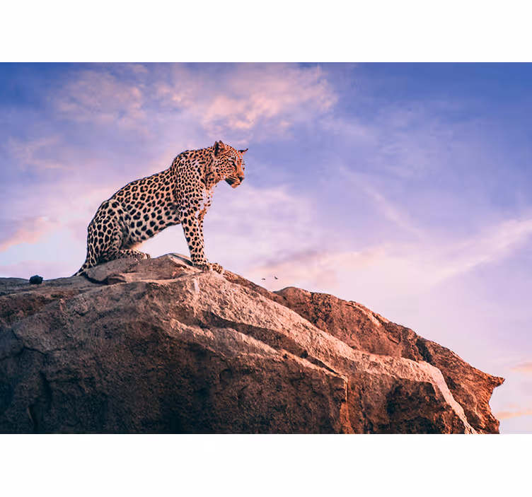 Leopard on Rock animal wall mural - TenStickers