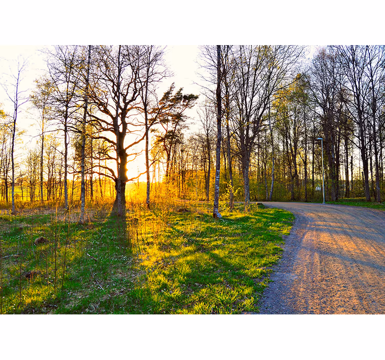 parc green bank nature wall mural - TenStickers