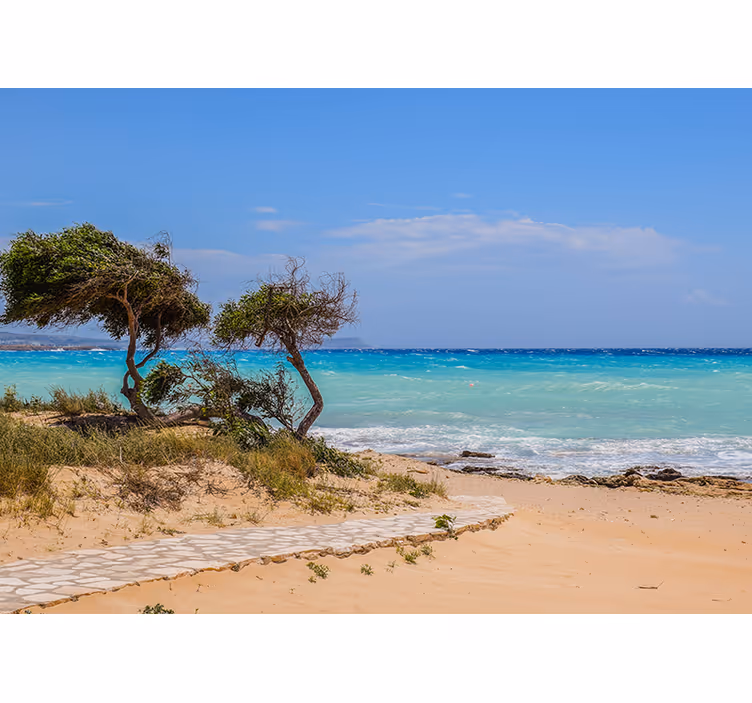 Serene scene path ocean wall mural - TenStickers