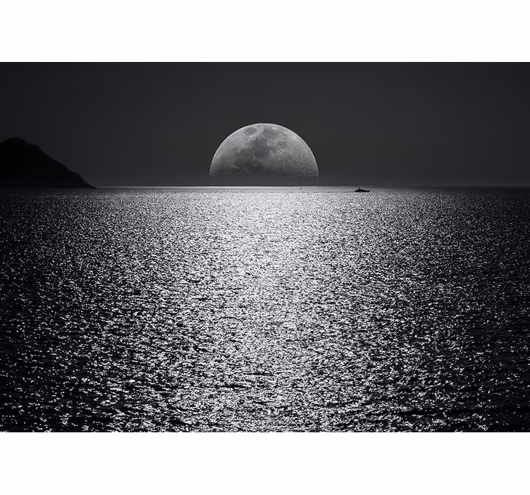 Moonlit view ocean wall mural - TenStickers