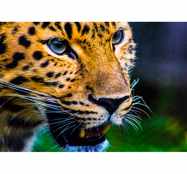 Leopard Close-Up animal wall mural - TenStickers