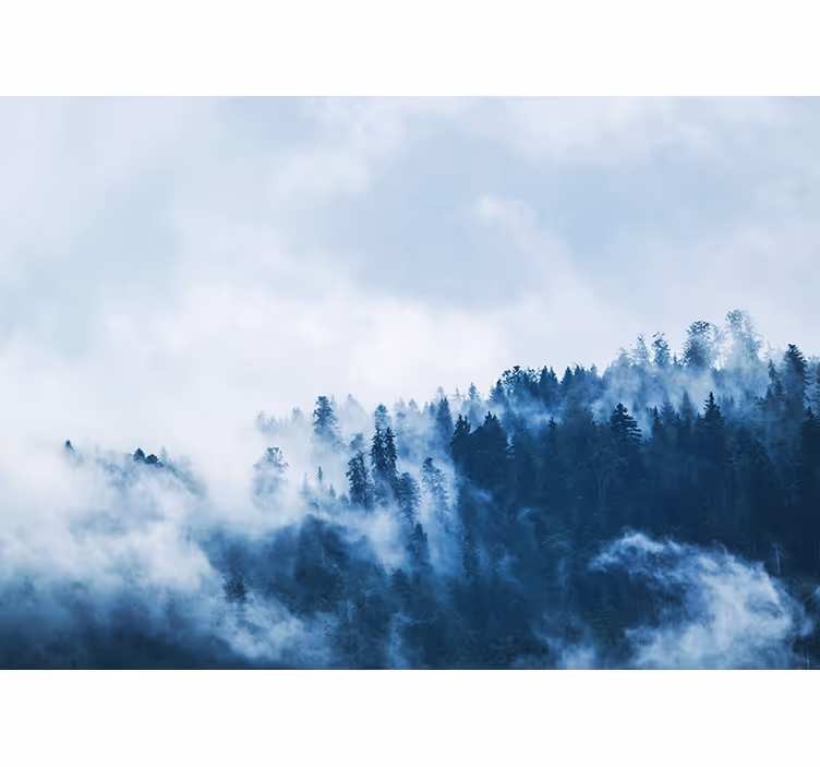 Nature wall mural forest misty landscape - TenStickers