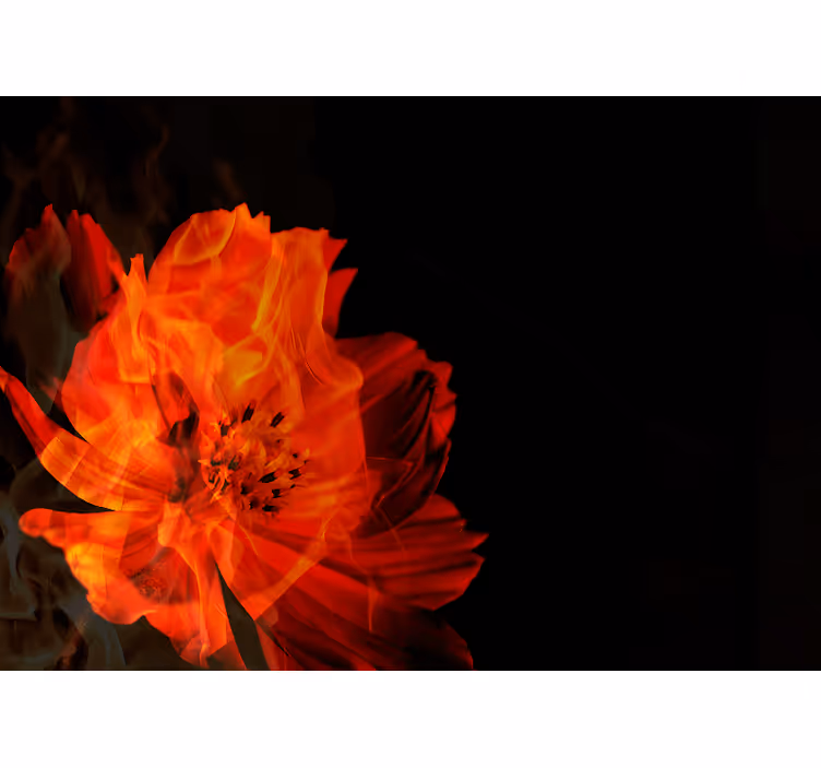 Fiery floral burst flower wall mural - TenStickers