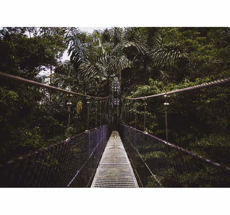 Suspension bridge adventure nature wall mural - TenStickers