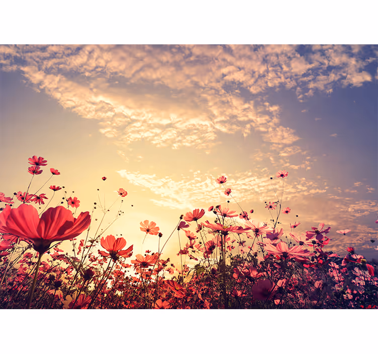 Landscape natural background flowers wall mural - TenStickers