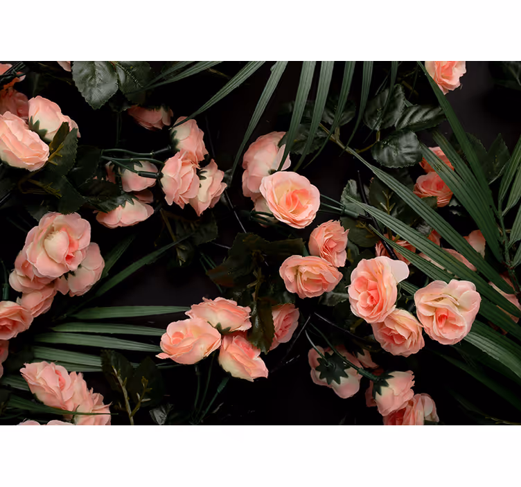 Flower wall mural soft pink roses design - TenStickers