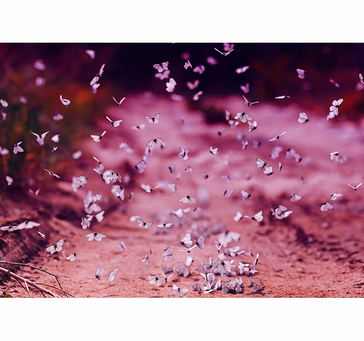 White cabbage butterfly wall mural - TenStickers