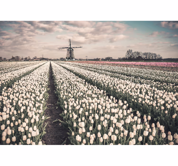 Flower wall mural tulip field scenery - TenStickers