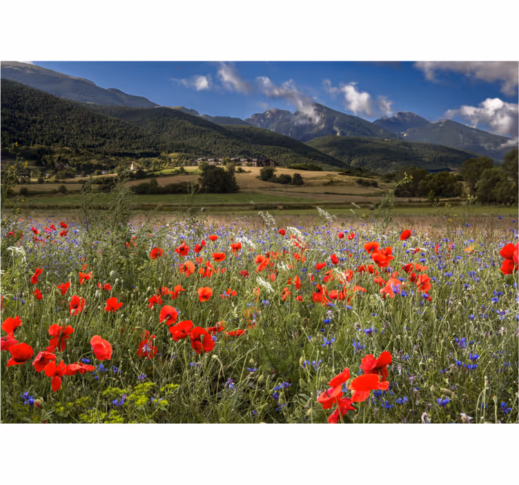 Pretty prairie field with flowers wall mural - TenStickers