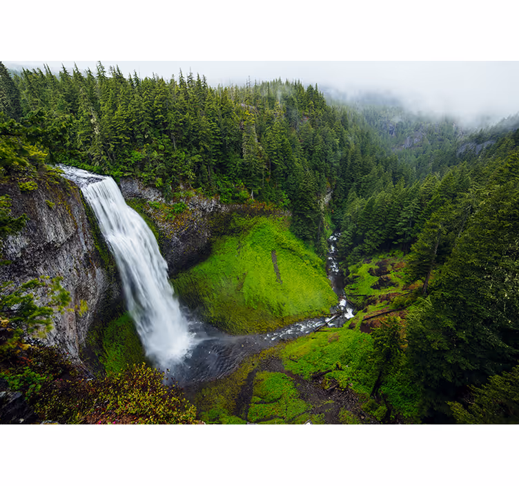 Nature wall mural lush green waterfall - TenStickers