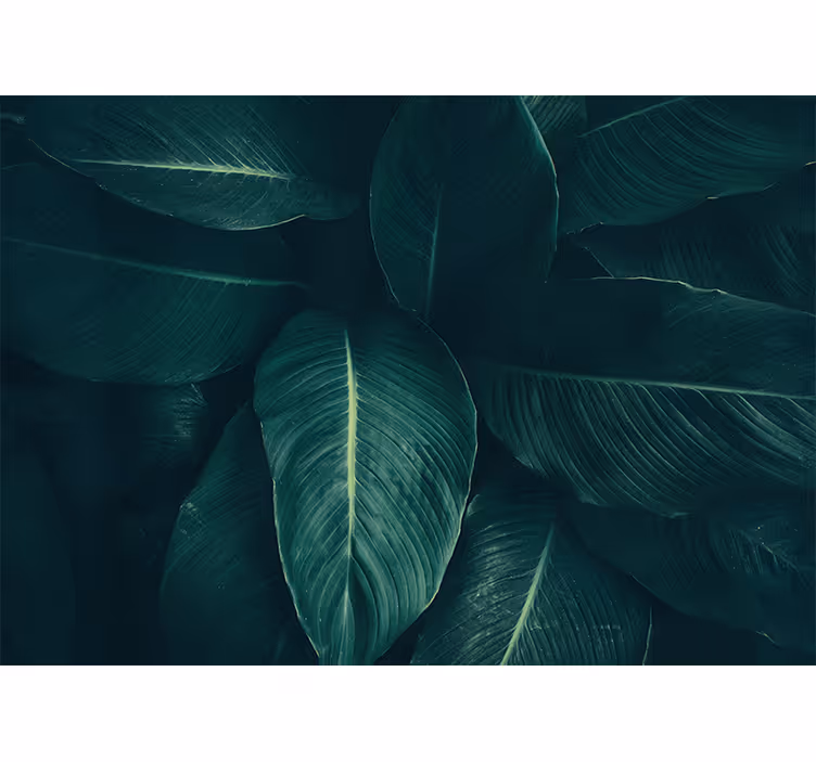 Nature wall mural lush leafy design - TenStickers