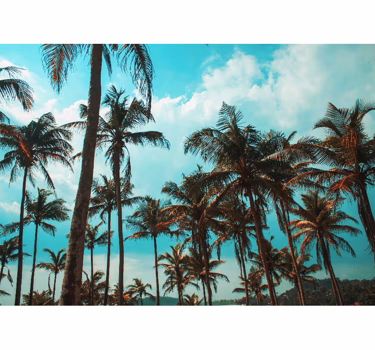Nature wall mural palm trees paradise - TenStickers