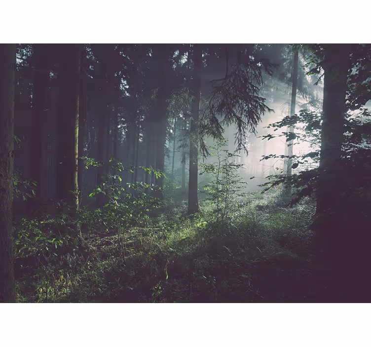 Deep light green Forest Wall Mural - TenStickers