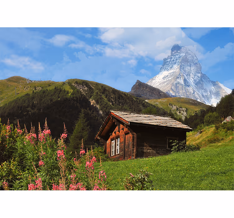 Wood vintage cabin nature wall mural - TenStickers